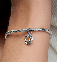 Eternity Circle Dangle Charm