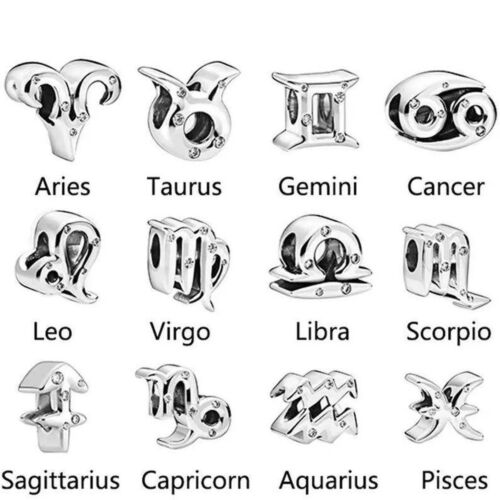 Sparkling Zodiac Symbol Charm