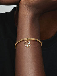 Scorpio Zodiac Dangle Charm