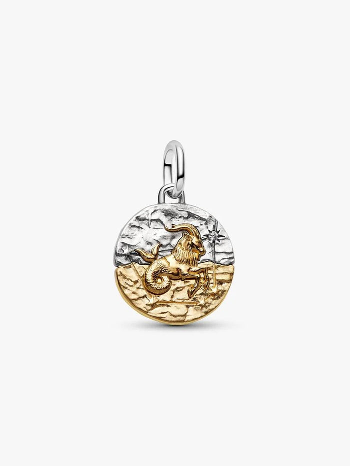 Capricornus Zodiac Medallion Charm