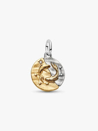 Pisces Zodiac Medallion Charm