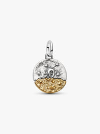 Leo Zodiac Medallion Charm