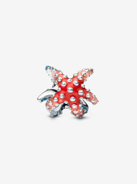 Colourful Starfish Mini Charm