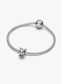 Disney Moana Pua The Pig Charm
