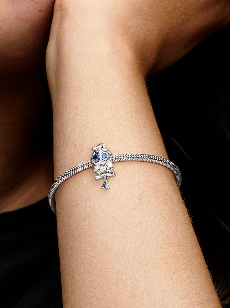 Wise Owl Graduation Charm