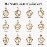 Zodiac Dangle Charm