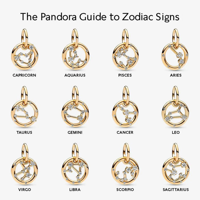 Zodiac Dangle Charm