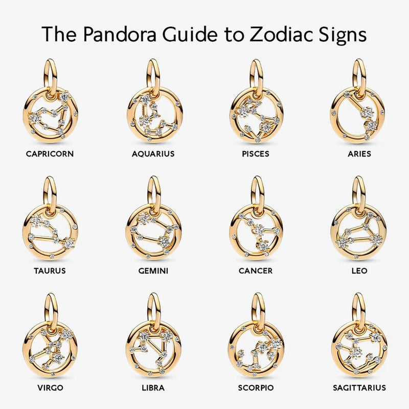 Zodiac Dangle Charm