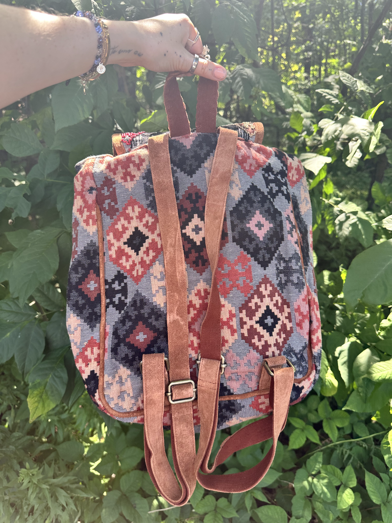 Arabella Suede Trim Embroidered Backpack
