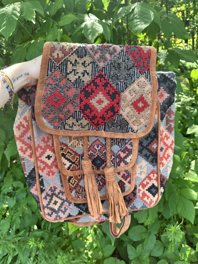 Arabella Suede Trim Embroidered Backpack