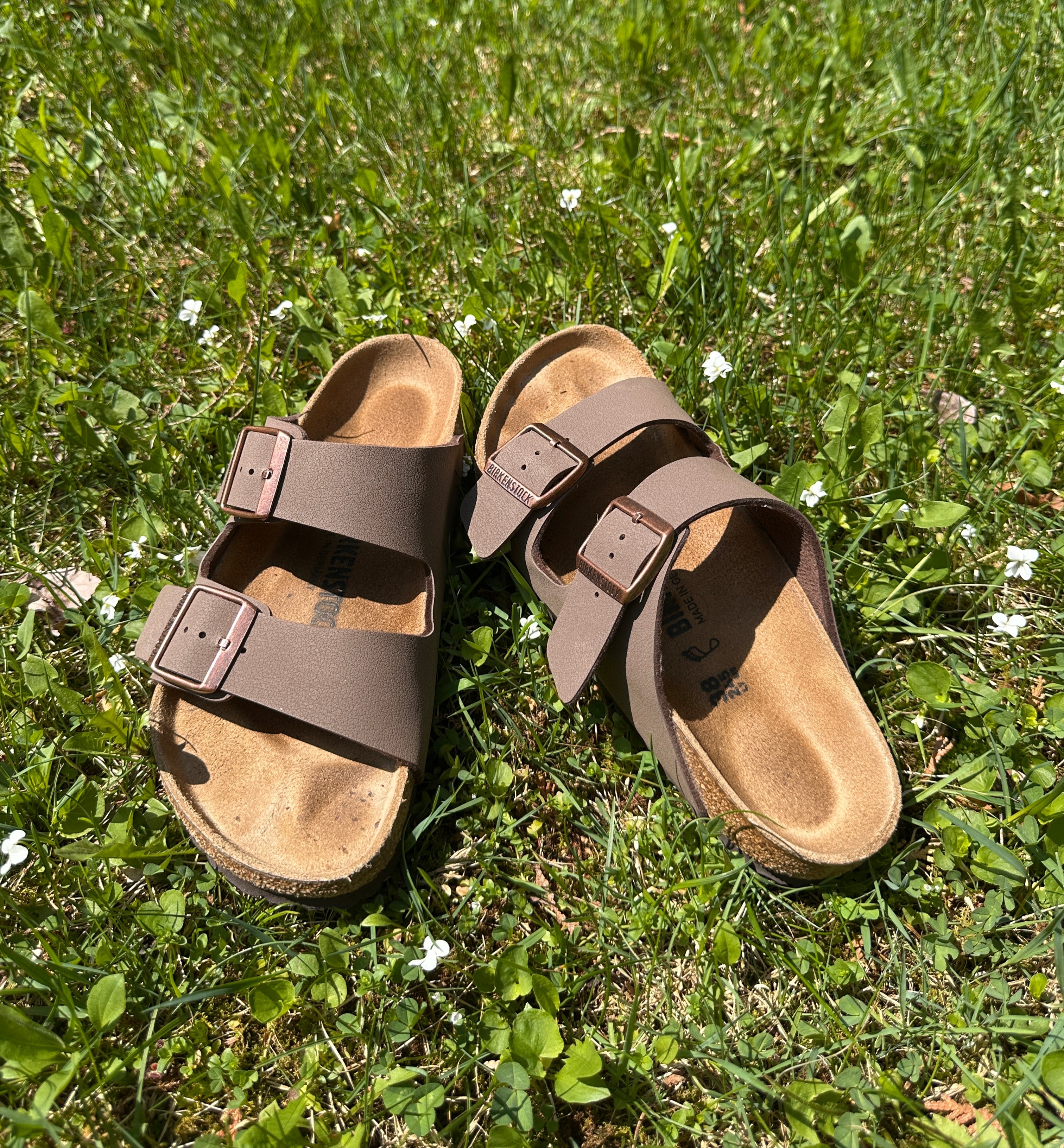 Birkenstock Arizona Birkibuc Sandals - Mocha (Regular/Wide