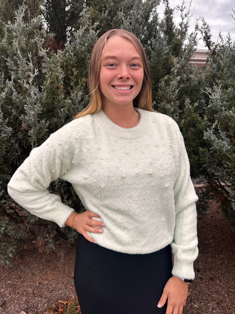 Janelle Pearl Beaded Fluffy Knit Sweater - Mint