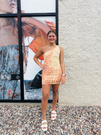 Danielle Mesh Printed One Shoulder Dress