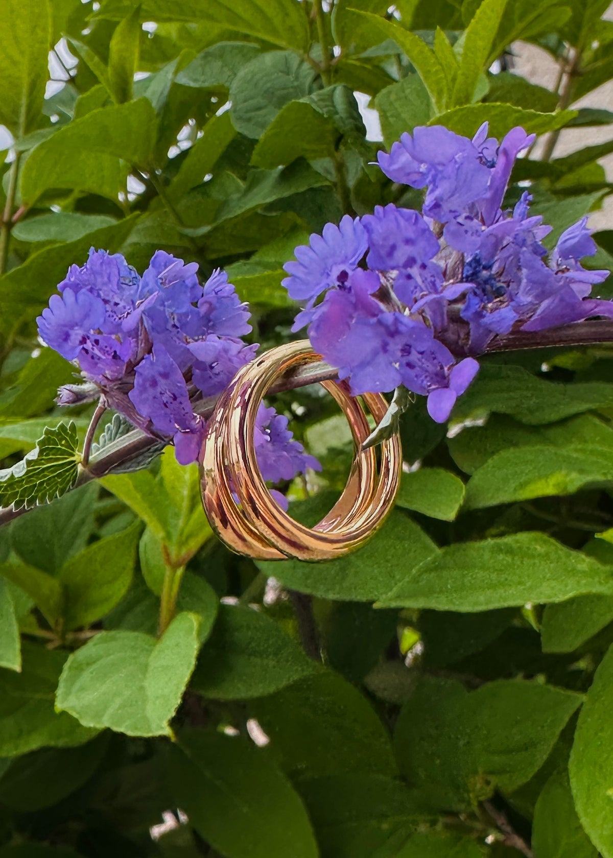 Organically Shaped Stacking Rings
