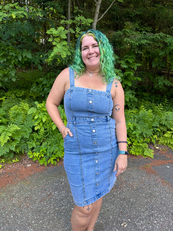 Rachelle Button Down Denim Dress