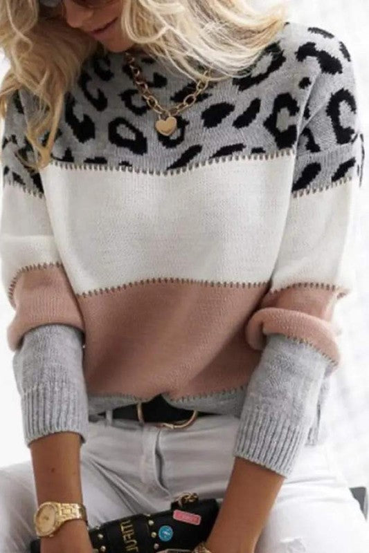 Phoebe Animal Print Color Block Sweater