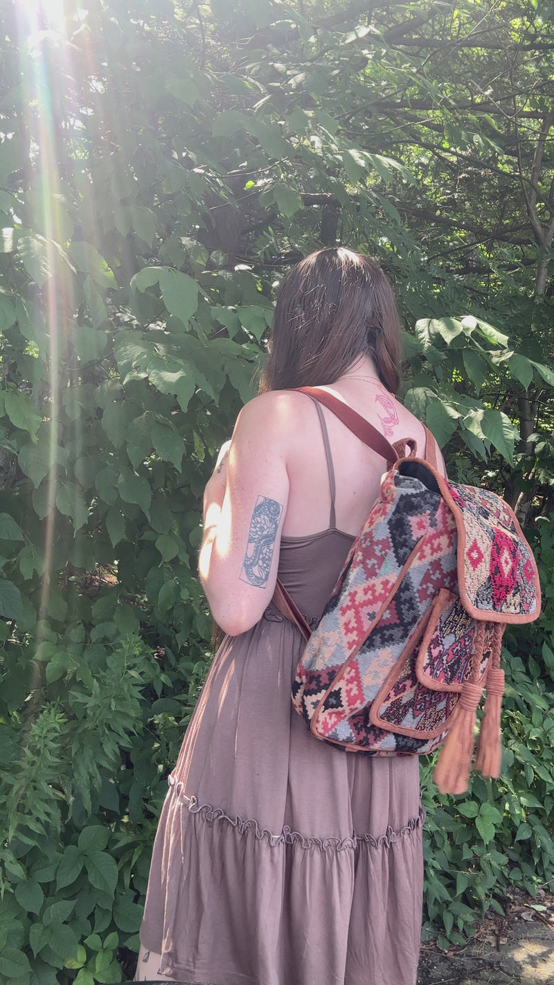 Arabella Suede Trim Embroidered Backpack