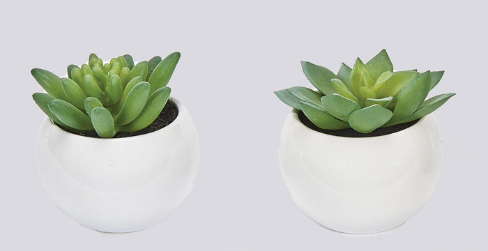 Faux Succulents