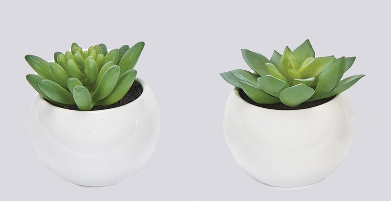 Faux Succulents